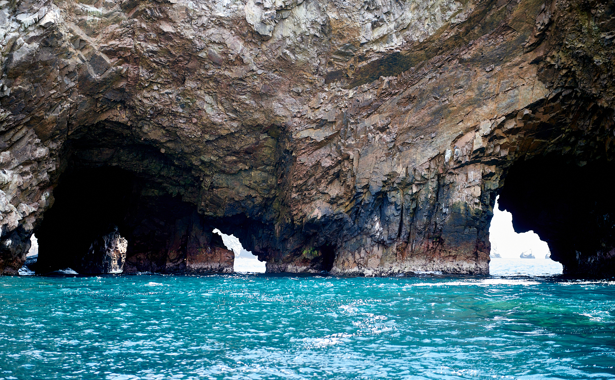 20200304 135 [페루] 바예스타섬